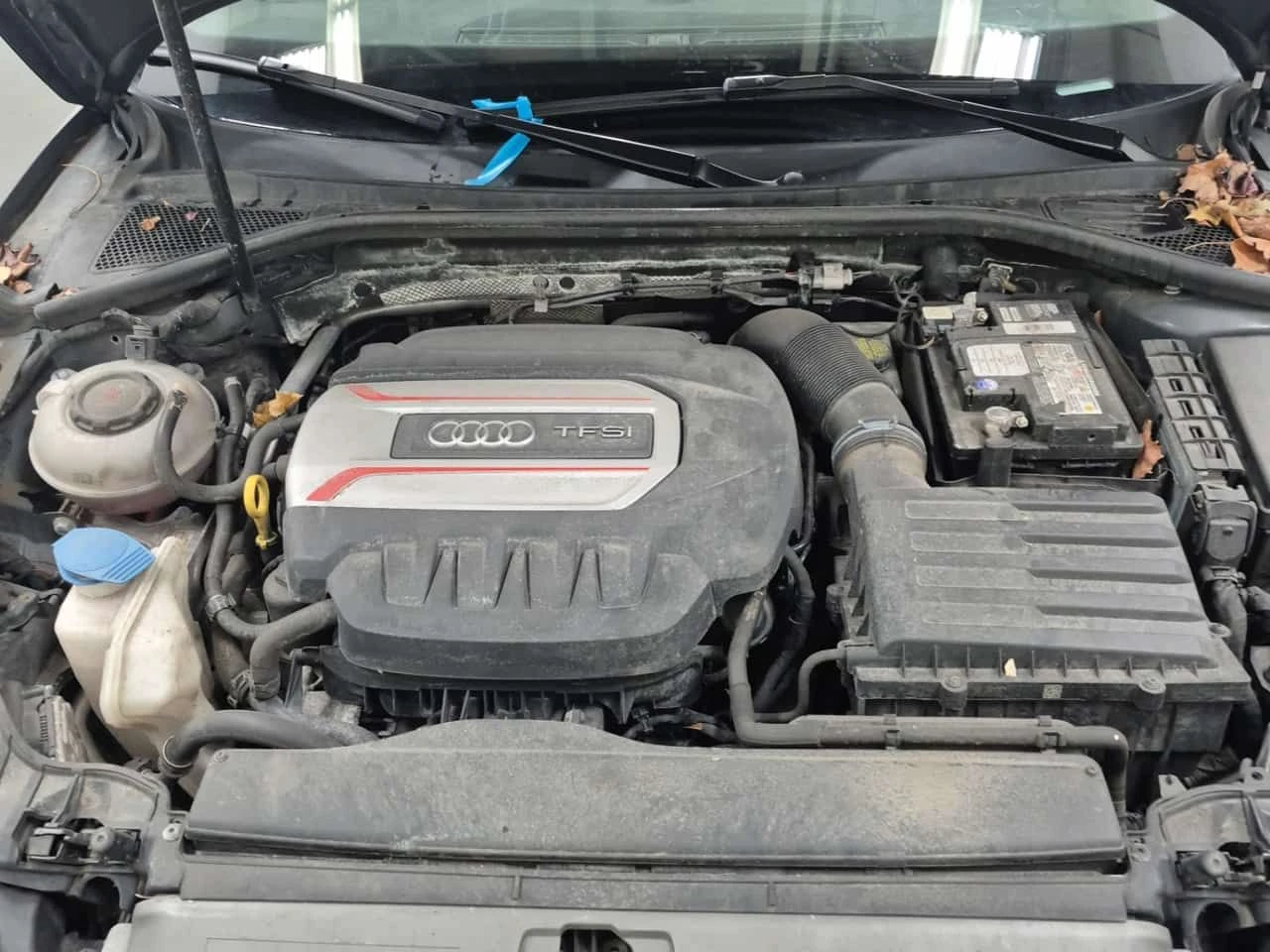 Audi S3 PROGRESSIV| BANG & OLUFSEN| PANORAMA| CARFAX|  | Mobile.bg � ����������� 17