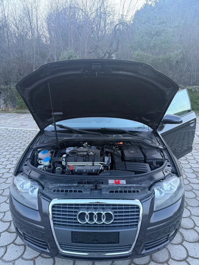 Audi A3, снимка 14 - Автомобили и джипове - 52850905