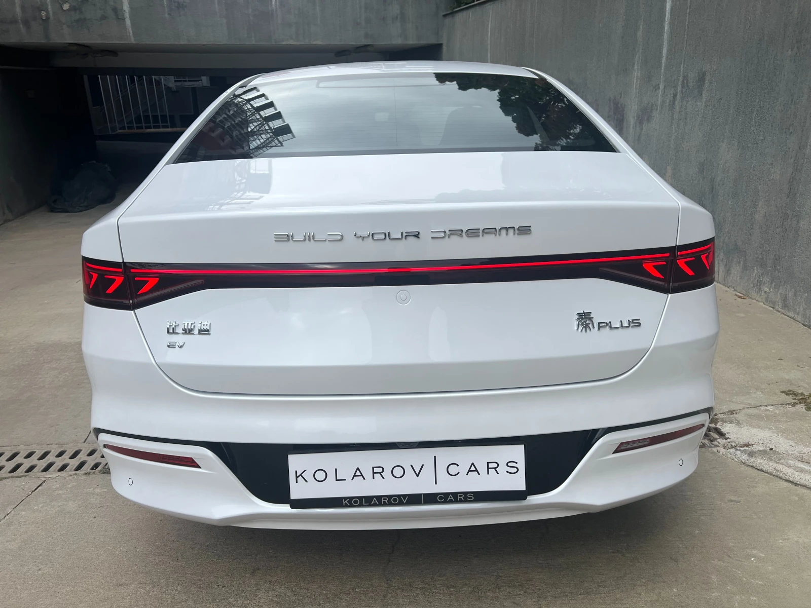 BYD Qin Plus EV 510 км. Blade Battery - изображение 5