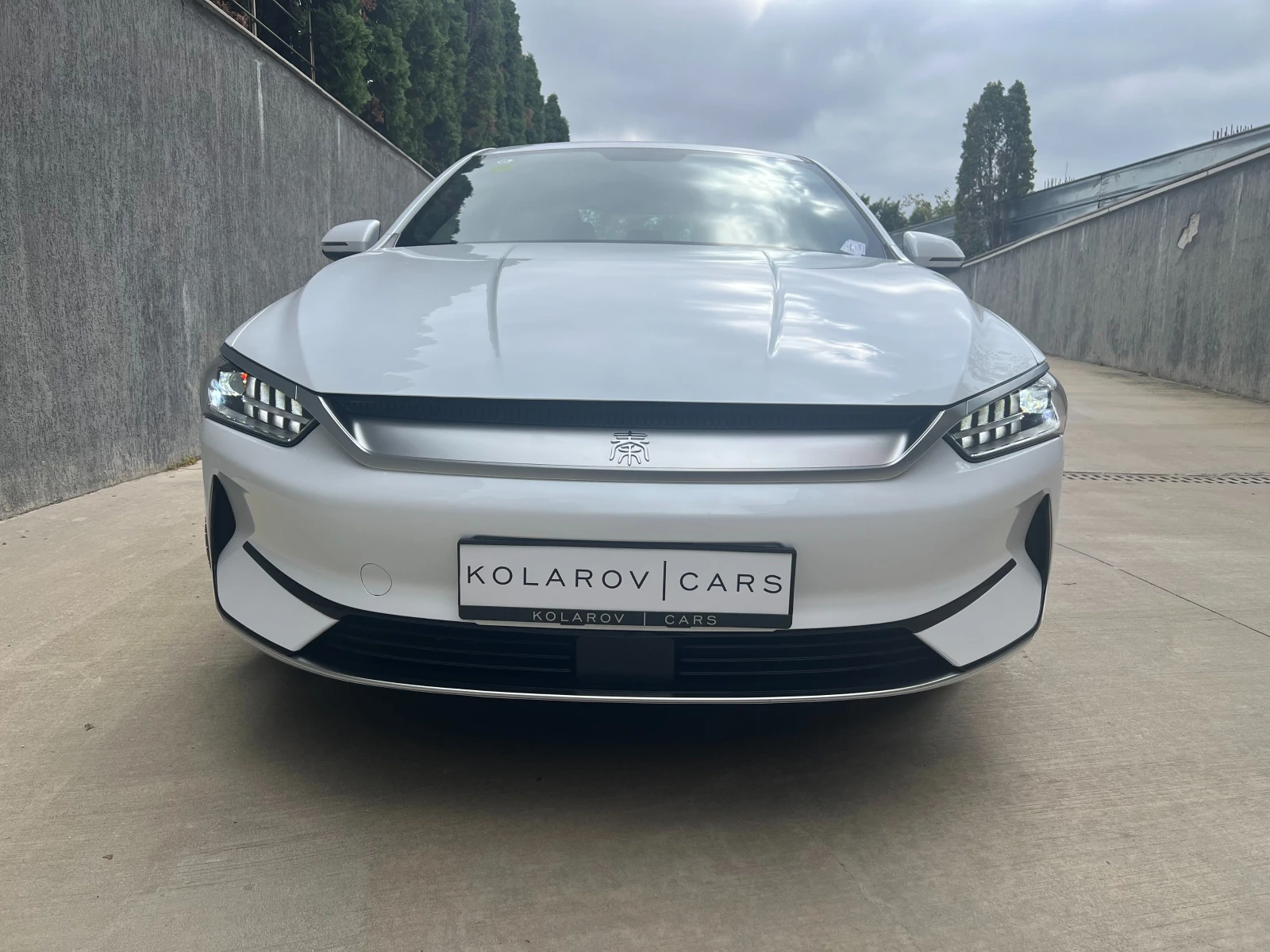BYD Qin Plus EV 510 км. Blade Battery - изображение 2
