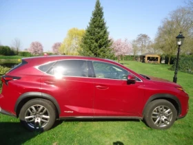 Lexus NX 300h Luxury Line 4х4 Distronic  - 22750 € / 44495.13 лв. - 13689298 4
