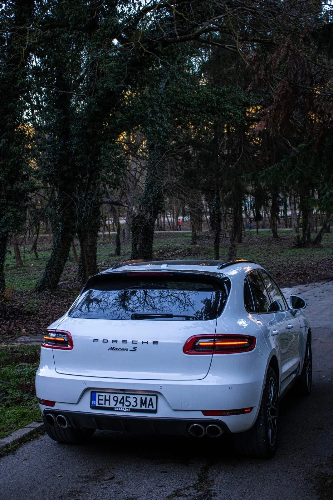 Porsche Macan S - изображение 5
