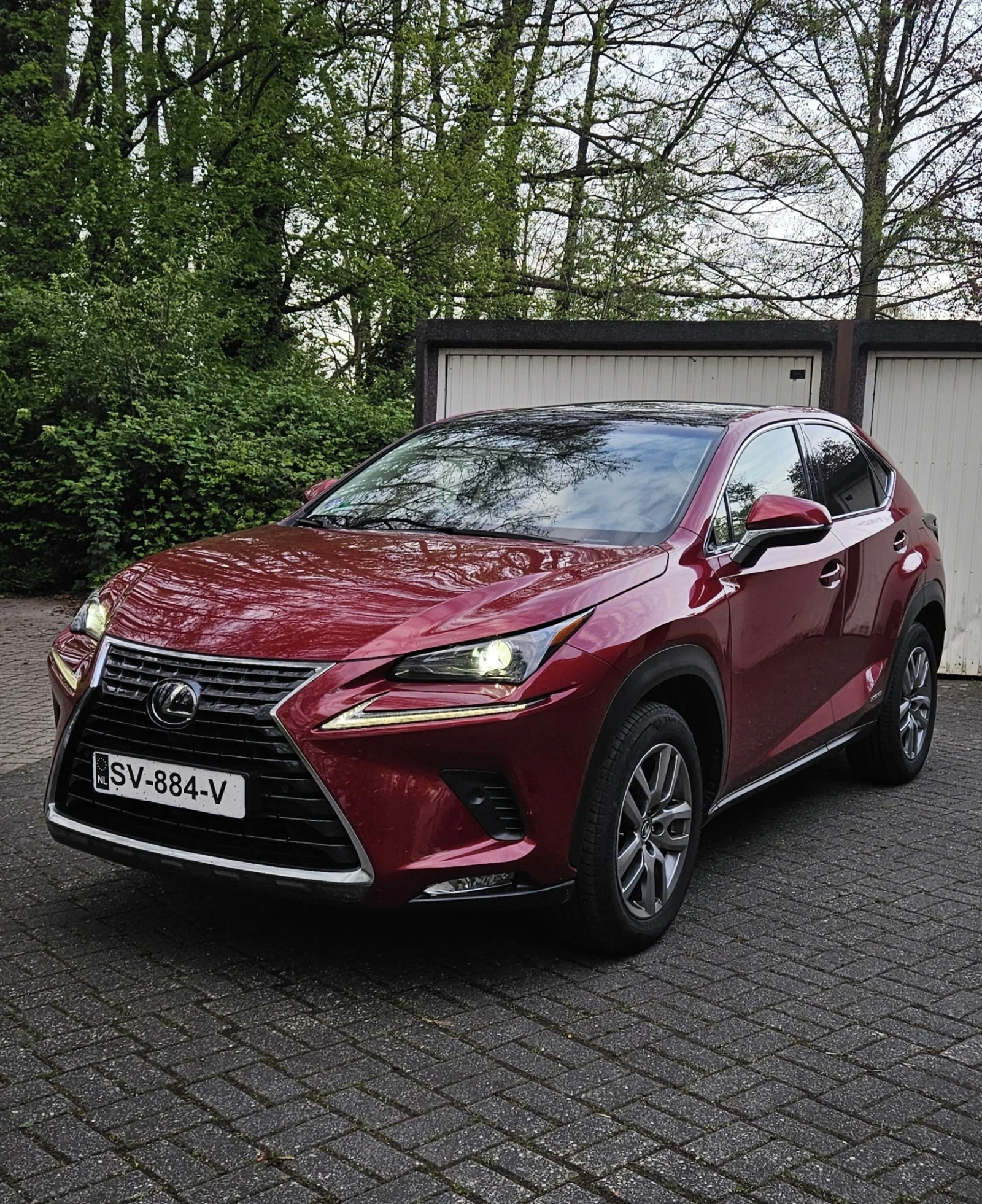 Lexus NX 300h Luxury Line 4х4 Distronic 