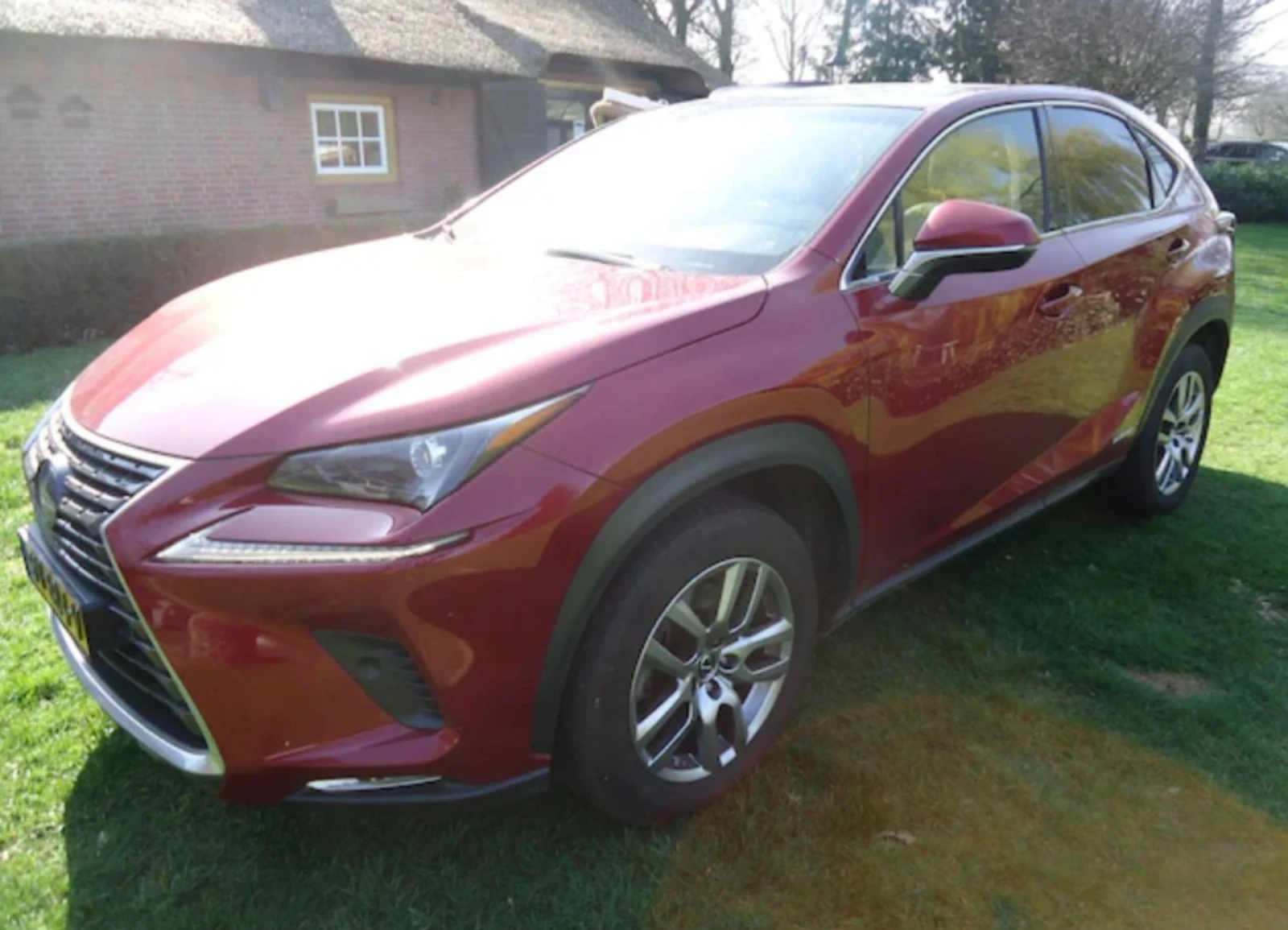 Lexus NX 300h Luxury Line 4х4 Distronic 