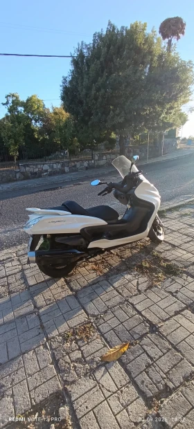 Yamaha Majesty | Mobile.bg � ����� ������ 7