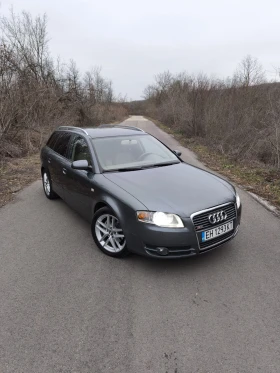     Audi A4 B7 2.0TDI (BLB)