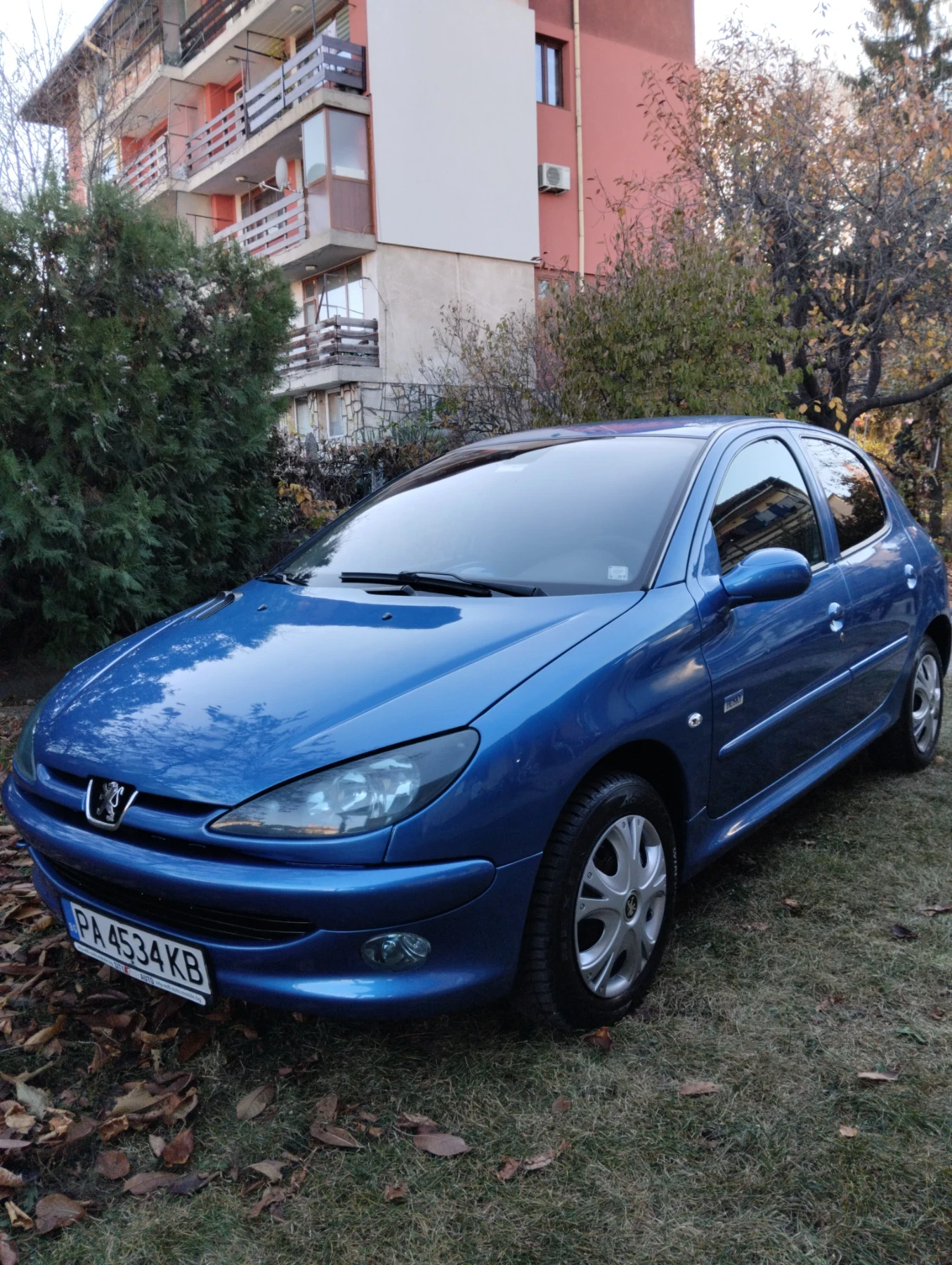 Peugeot 206 1.4 i - изображение 2