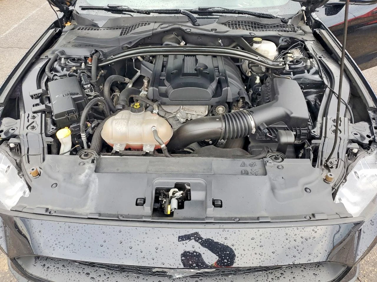 Ford Mustang ECOBOOST* ������ ���������* ����������* CARPLAY*  | Mobile.bg � ����������� 11