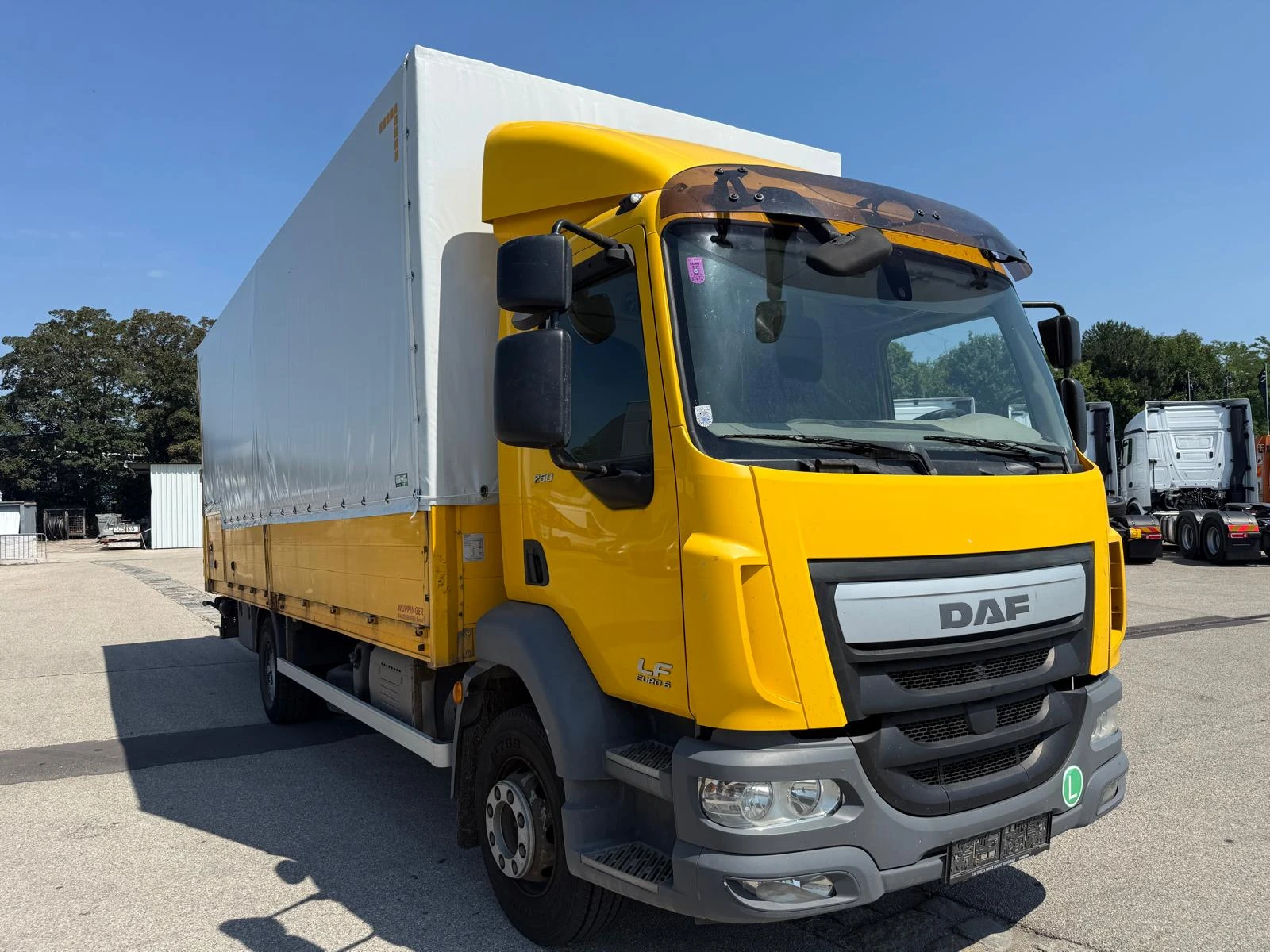 Daf Lf 250 падащ борд, снимка 3 - Камиони - 55033053