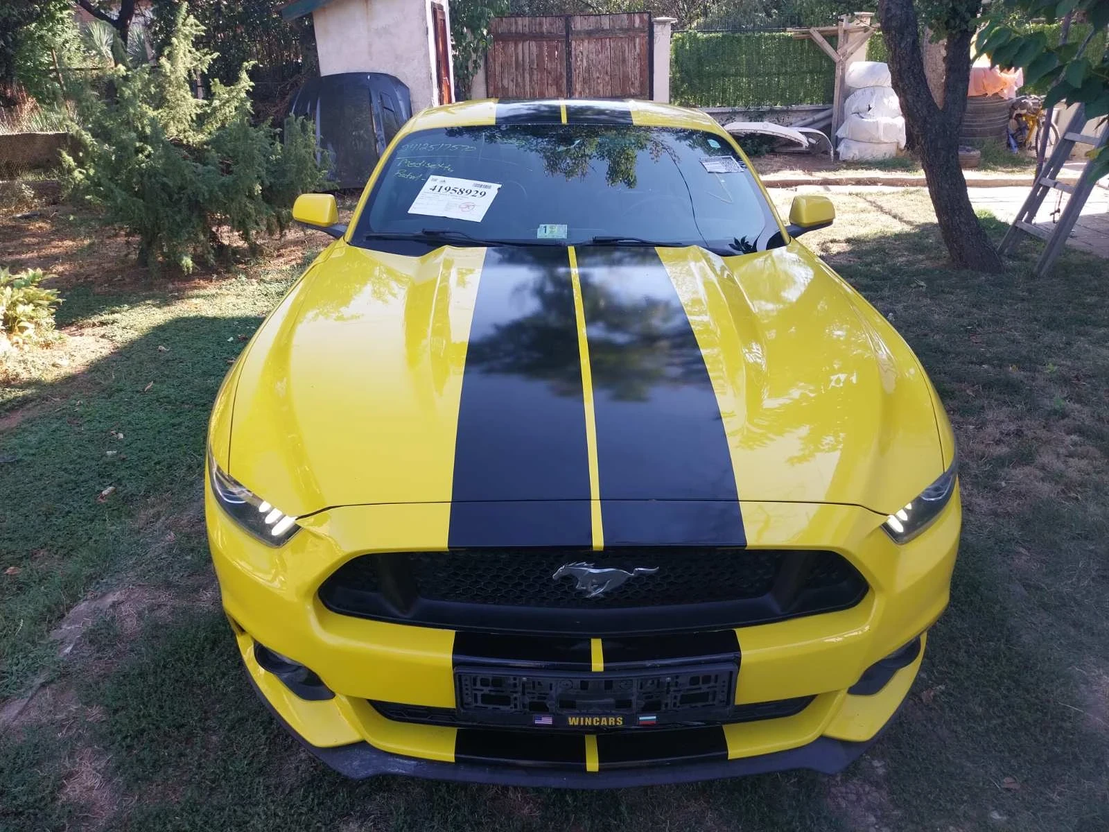 Ford Mustang 2.3 - изображение 2