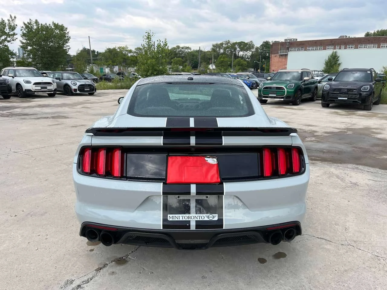 Ford Mustang * Shelby * CARFAX * ОПЦИЯ ЗА ФИНАНСИРАНЕ , снимка 15 - Автомобили и джипове - 55468319