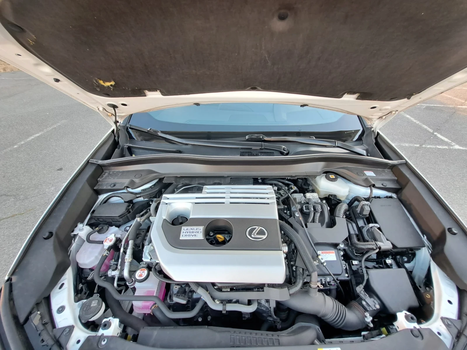 Lexus UX 250h  - изображение 7