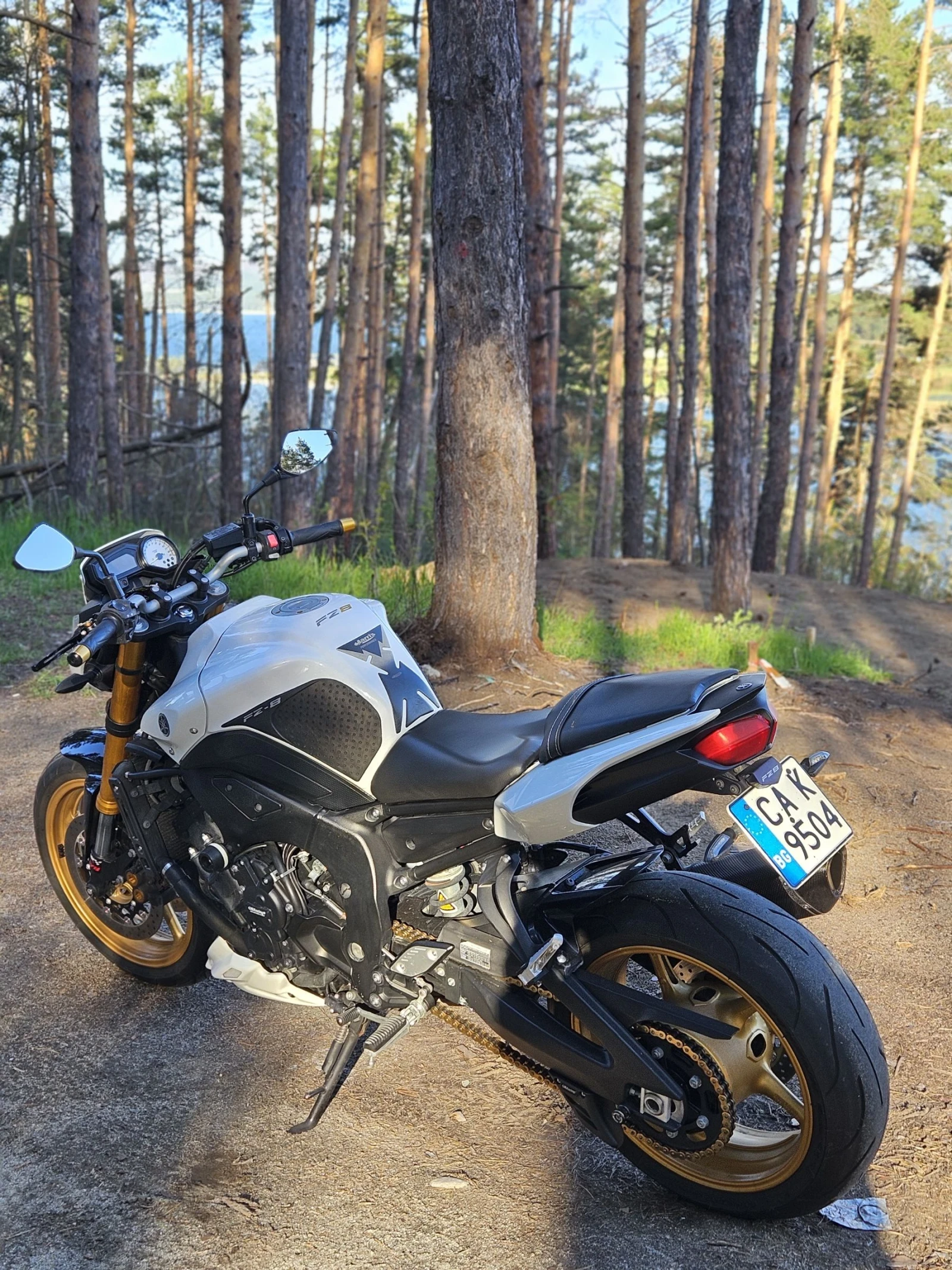 Yamaha FZ8 NA - изображение 2