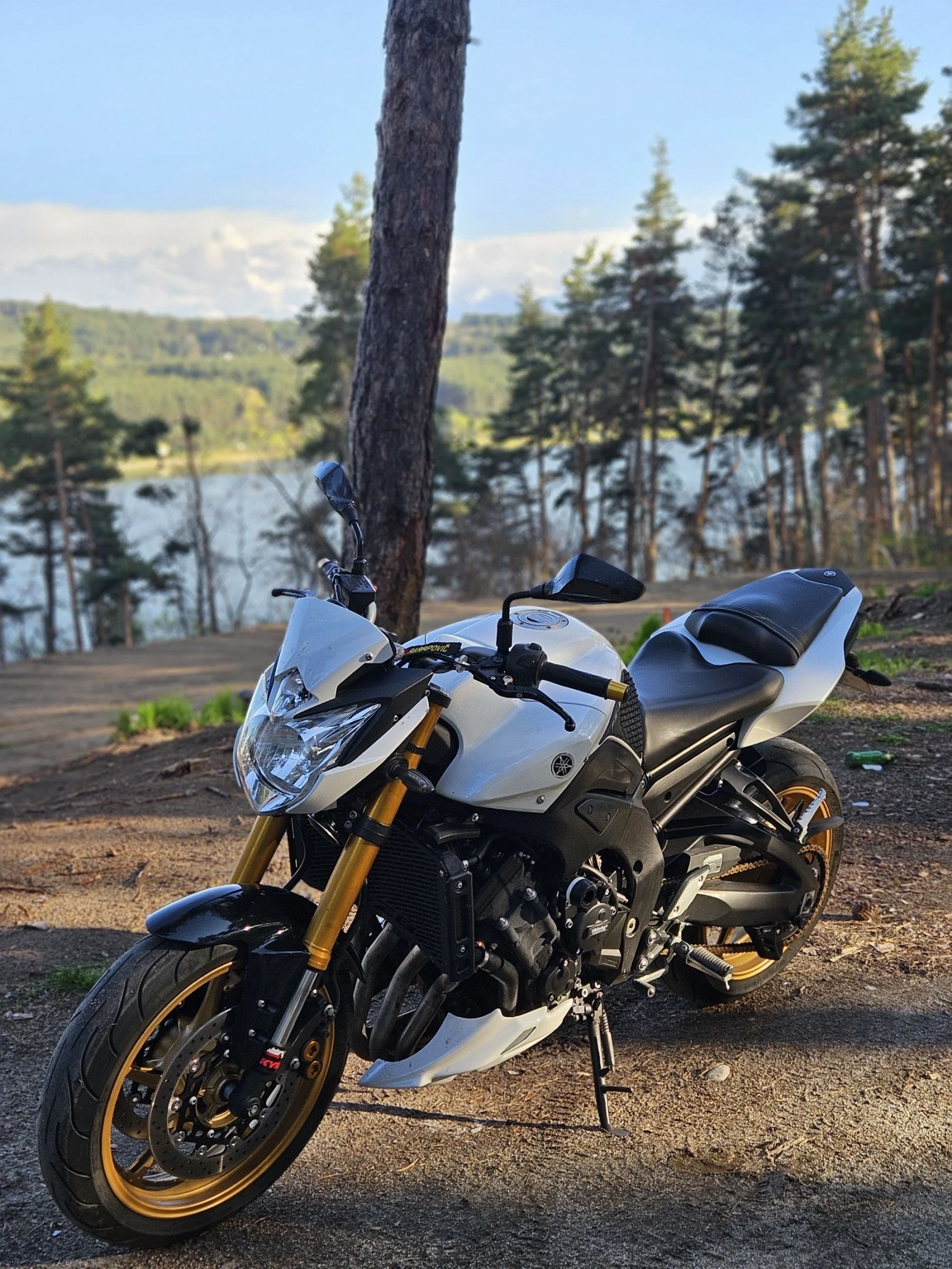 Yamaha FZ8 NA | Mobile.bg   13