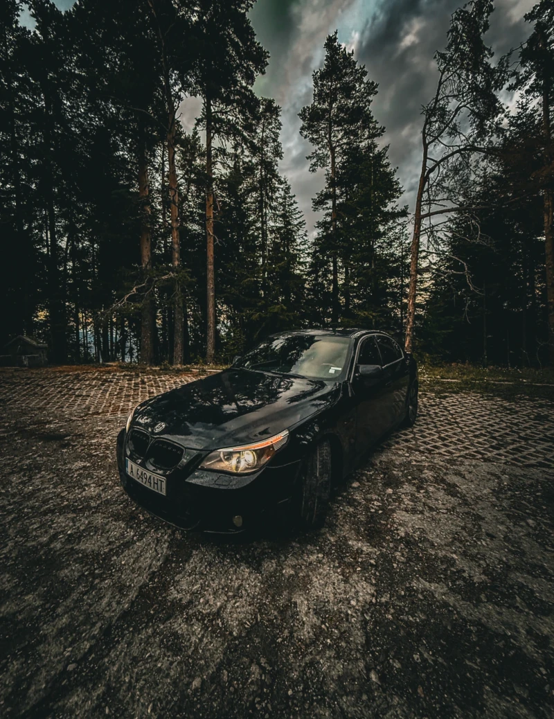 BMW 525, снимка 6 - Автомобили и джипове - 52938608