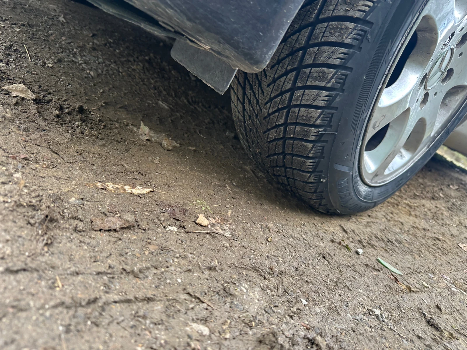 Mercedes-Benz C 200 Kompressor lpg ������� | Mobile.bg � ����������� 14