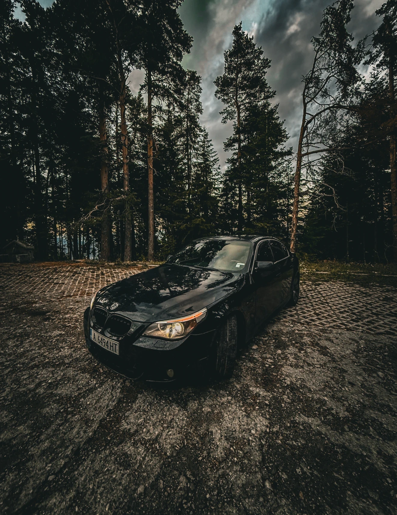 BMW 525  - изображение 6