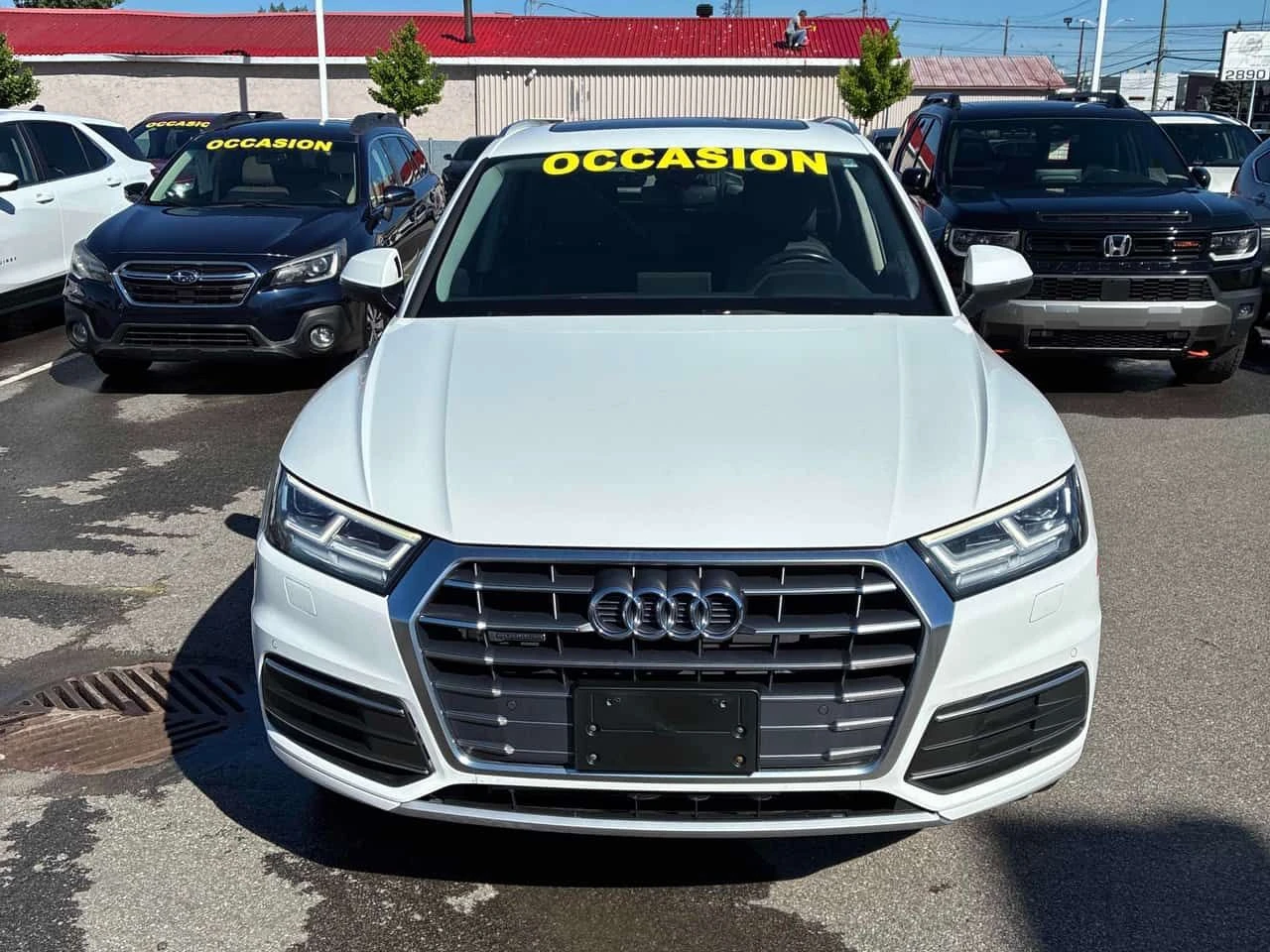 Audi Q5 Progressiv / CAMERA / ПОДГРЕВИ / АВТОКРЕДИТ , снимка 6 - Автомобили и джипове - 54961080
