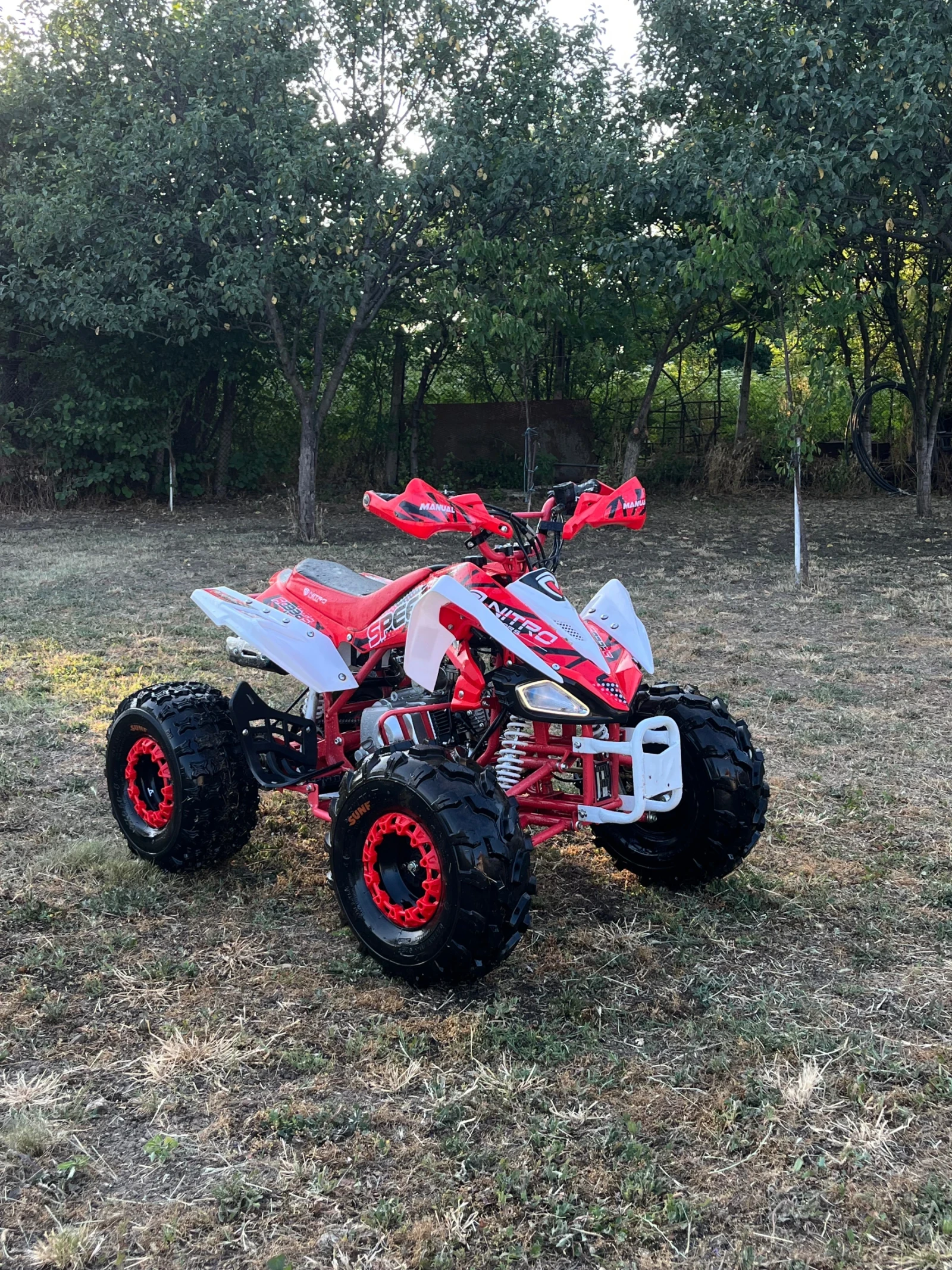 Aeon Aero ATV 125cc - изображение 3