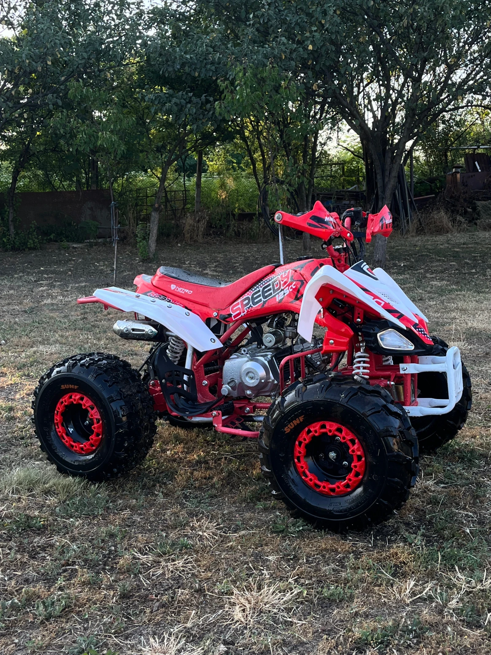Aeon Aero ATV 125cc - изображение 8