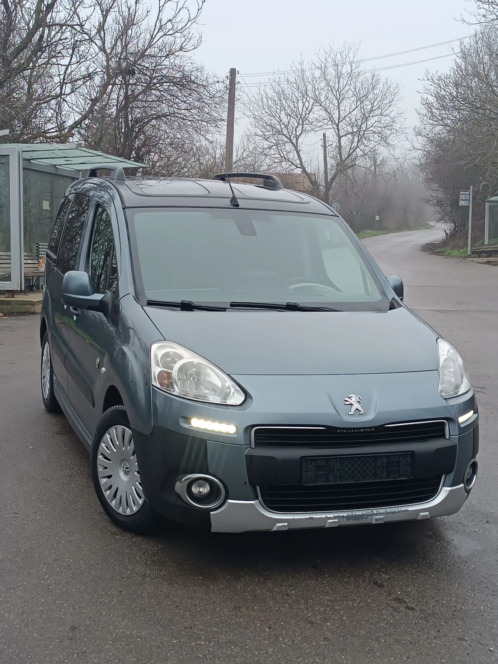 Peugeot Partner 1.6 eHDi панорама, снимка 1