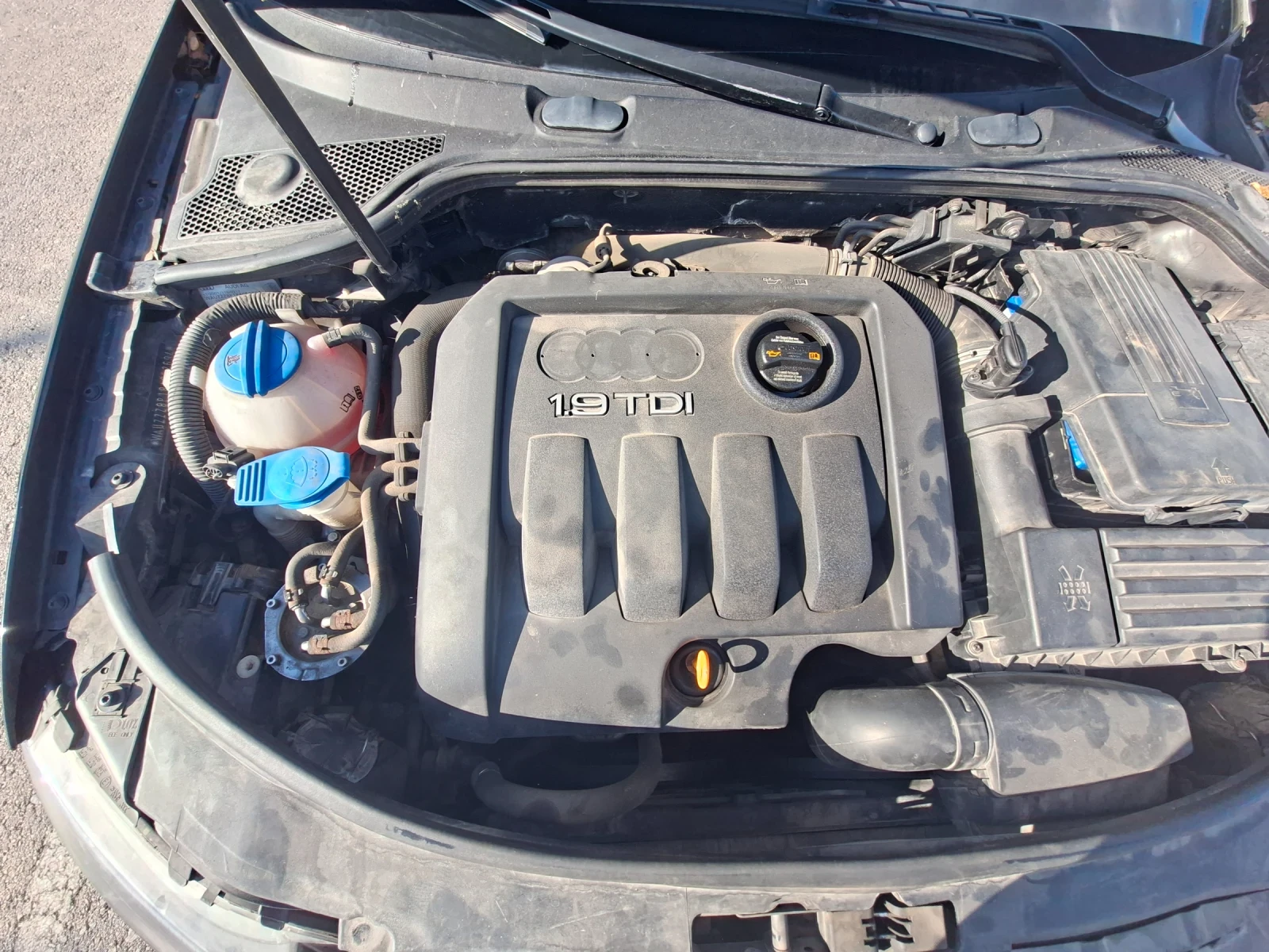 Audi A3 1.9TDI Автоматик DSG, снимка 11 - Автомобили и джипове - 56413810
