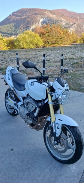 Honda Hornet PC 36, снимка 3