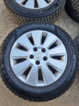 ������ ���� � ������