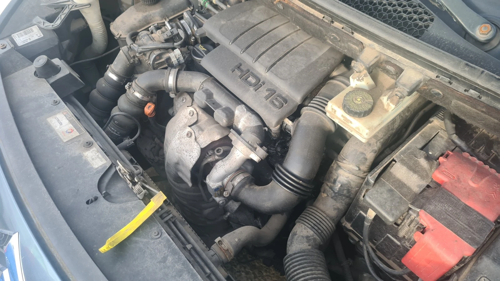 Citroen Berlingo 1.6 HDi | Mobile.bg   15