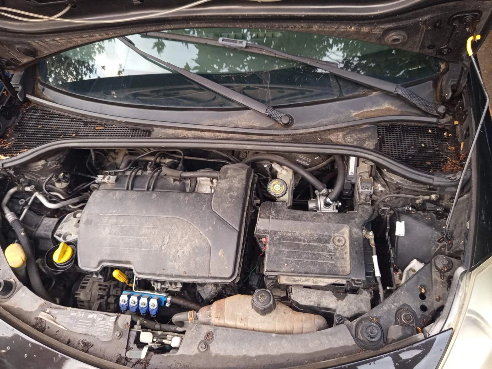 Renault Clio, снимка 9 - Автомобили и джипове - 56275702
