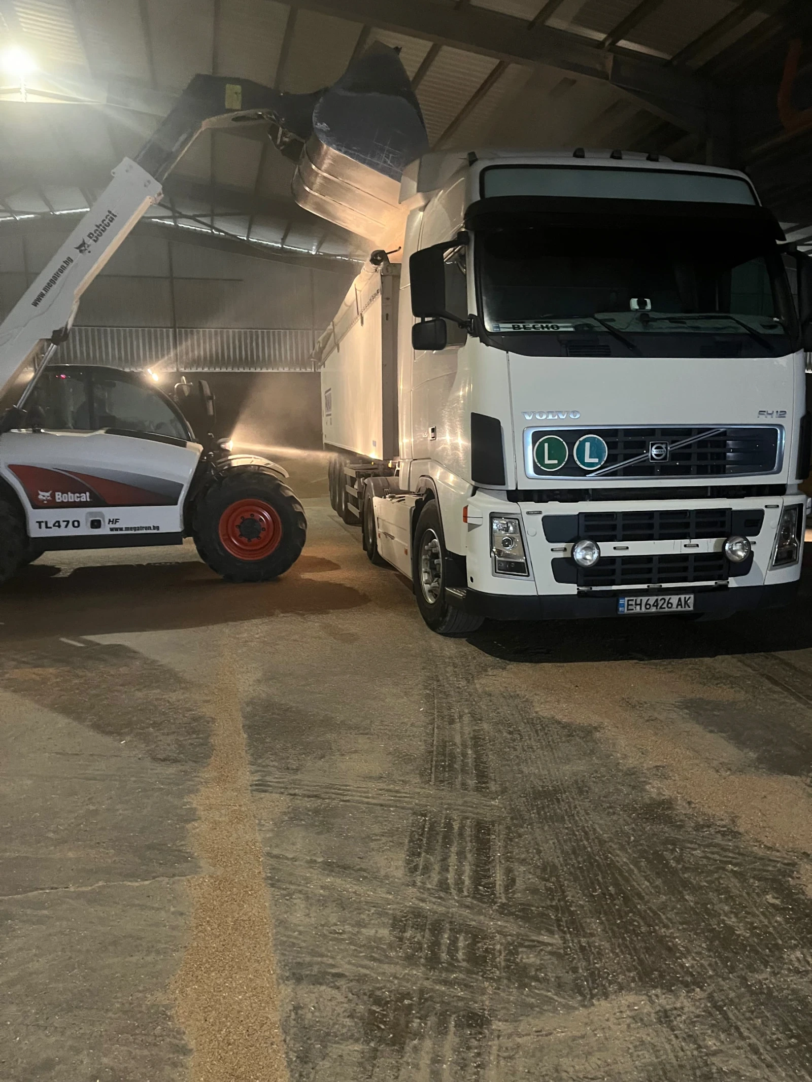 Volvo Fh 12  - изображение 6