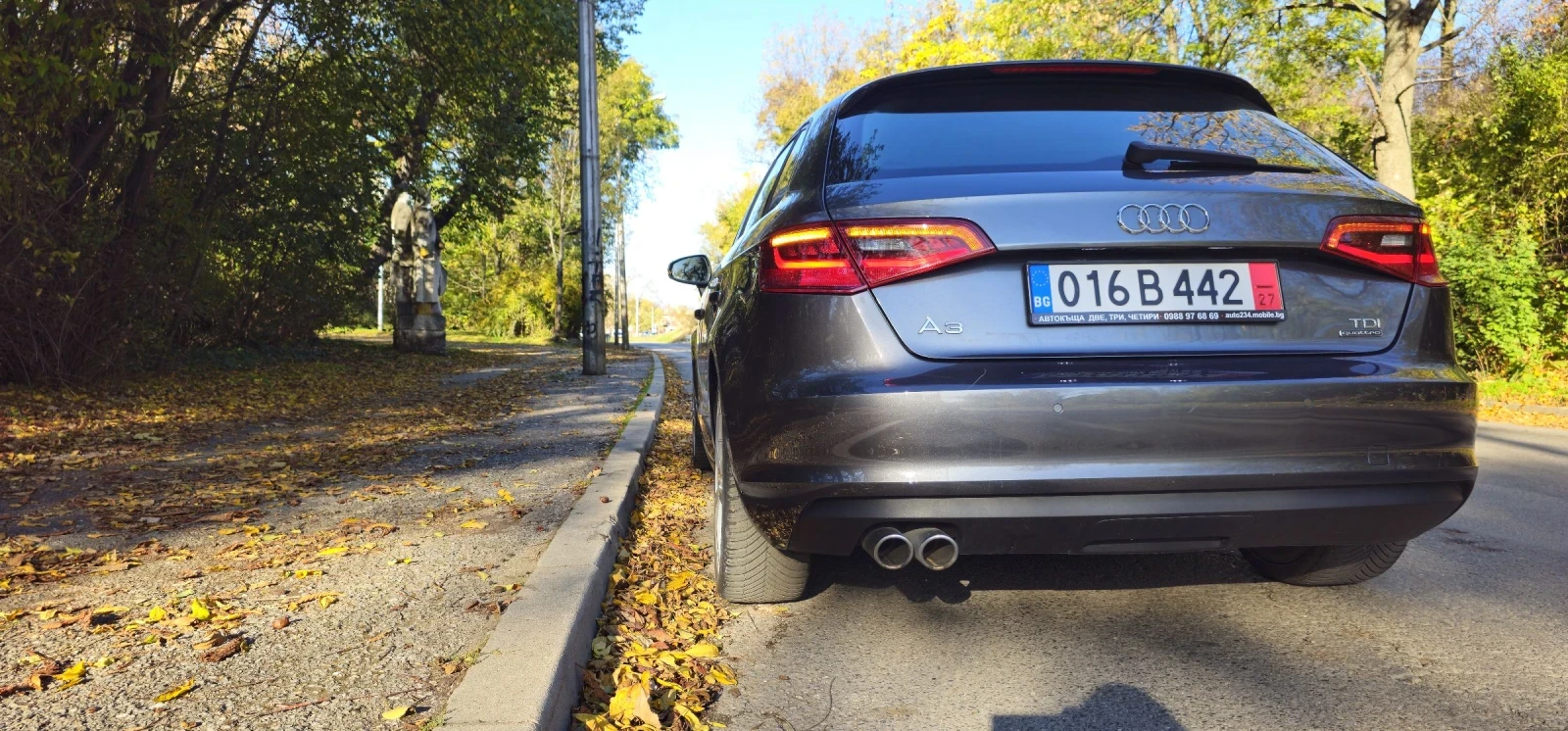 Audi A3  * * S-line* 184h.p* euro6b* Quattro* AVTOMAT* *  | Mobile.bg   14