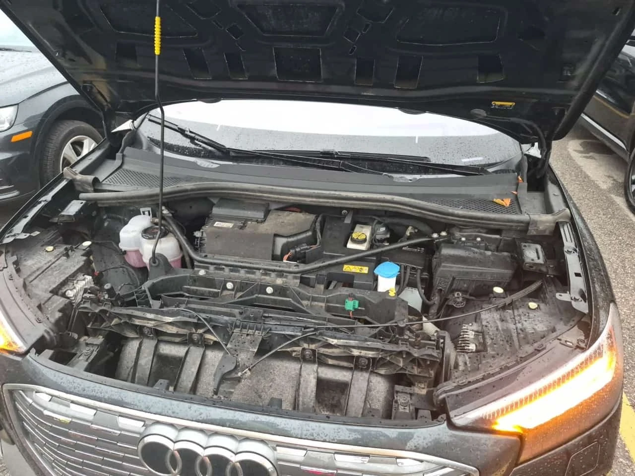 Audi E-Tron 50 Quattro Technik/�����/�������/�����/���� | Mobile.bg � ����������� 17