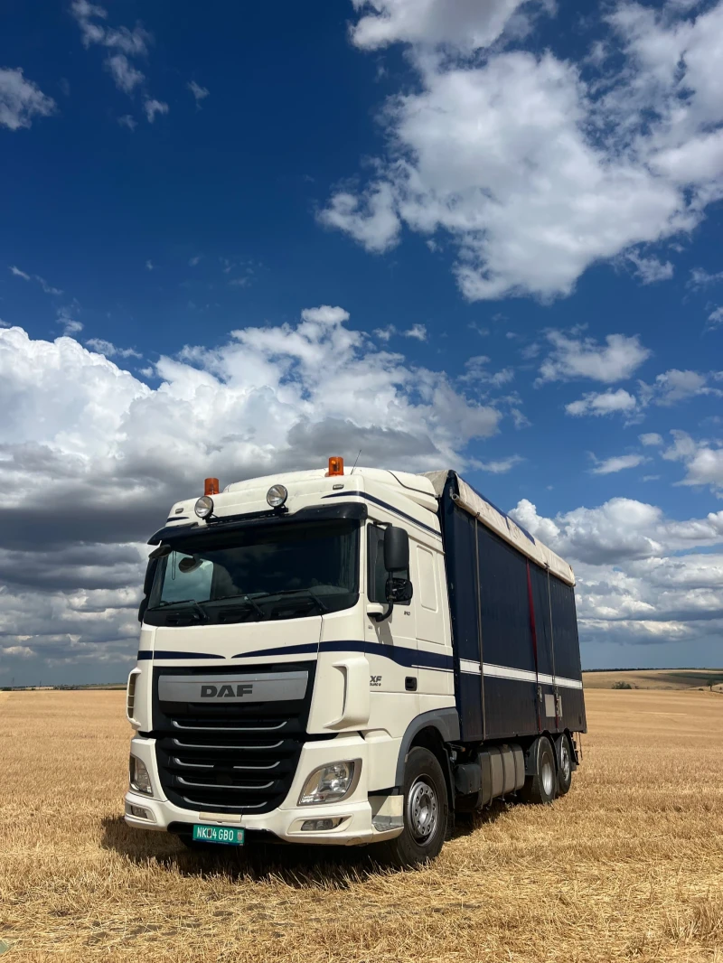 Daf XF 510 , снимка 5 - Камиони - 51483943