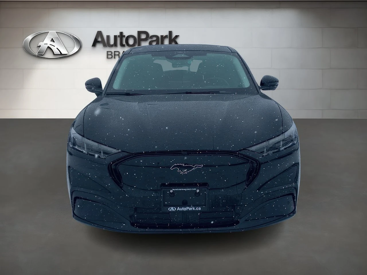 Ford Mustang Mach-E Premium Extended Range CARFAX ���� ������  | Mobile.bg � ����������� 2