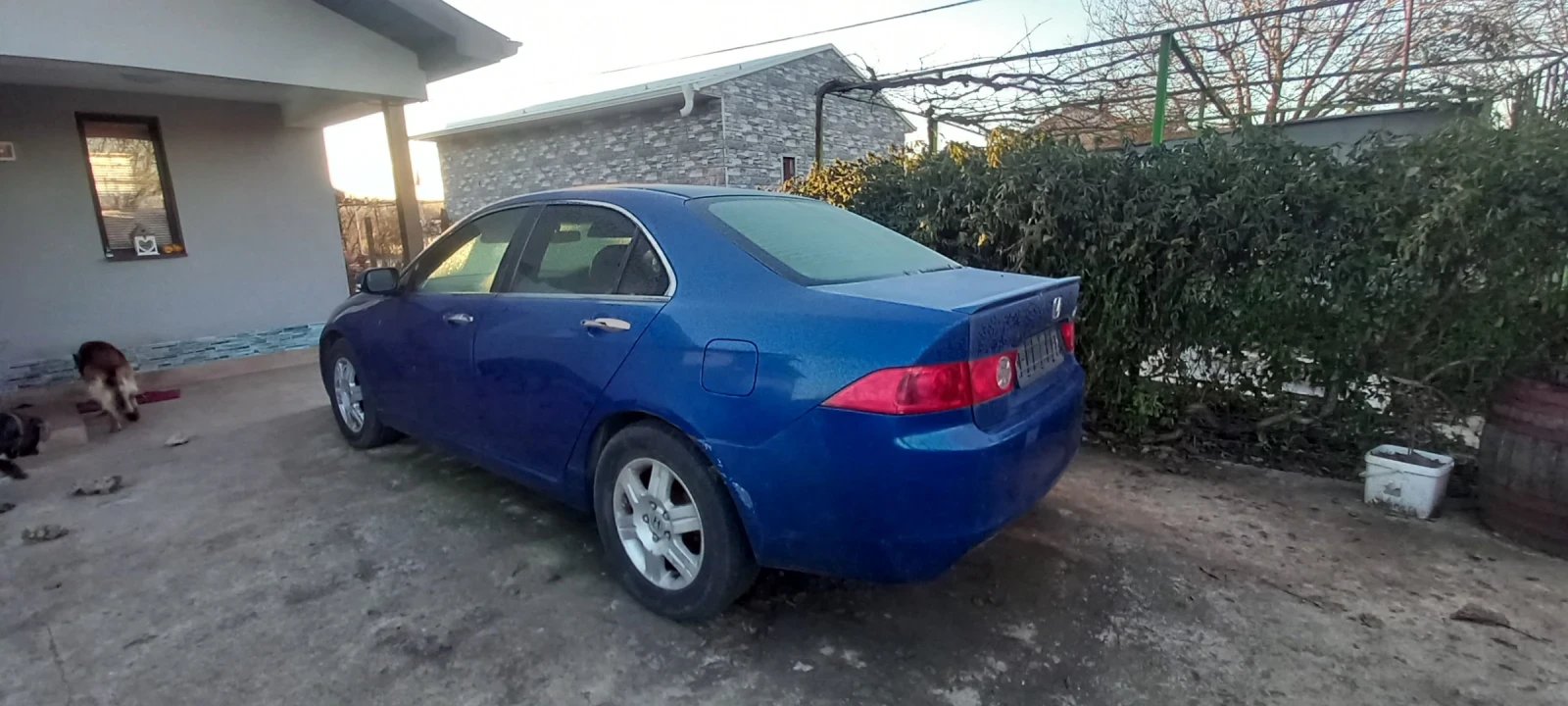 Honda Accord | Mobile.bg � ����������� 1