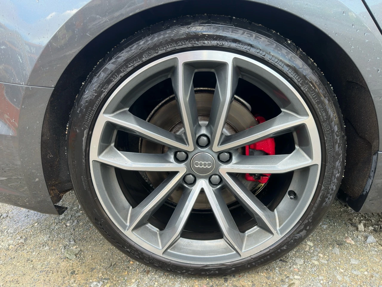 Audi S5 AUDI S5 PRESTIGE, 3.0 L V6, 354 к.с. - изображение 6