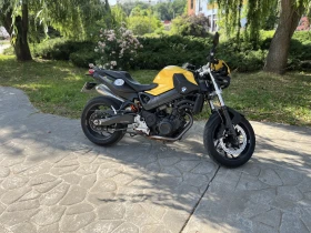  BMW F