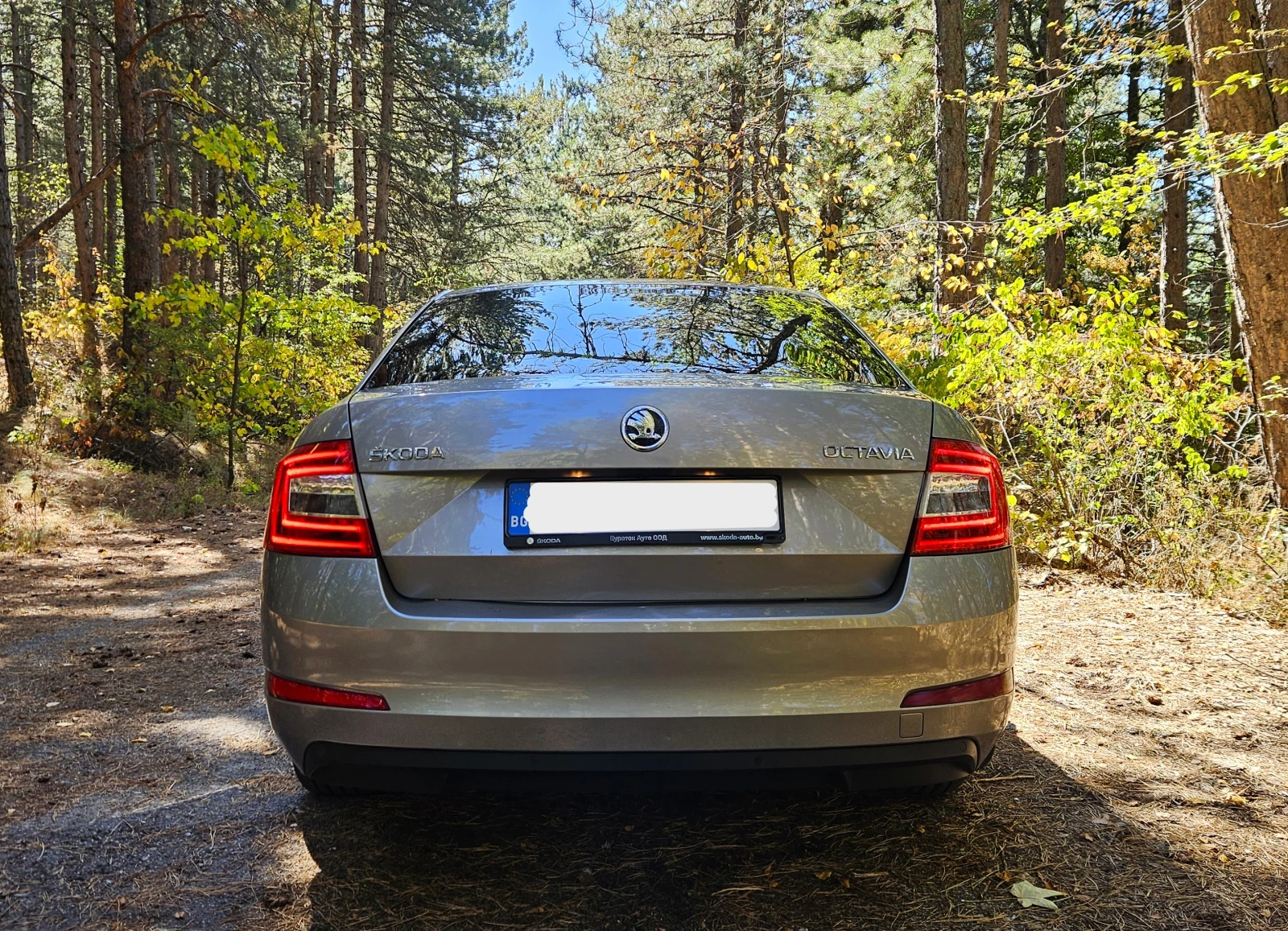 Skoda Octavia, снимка 4 - Автомобили и джипове - 56350936