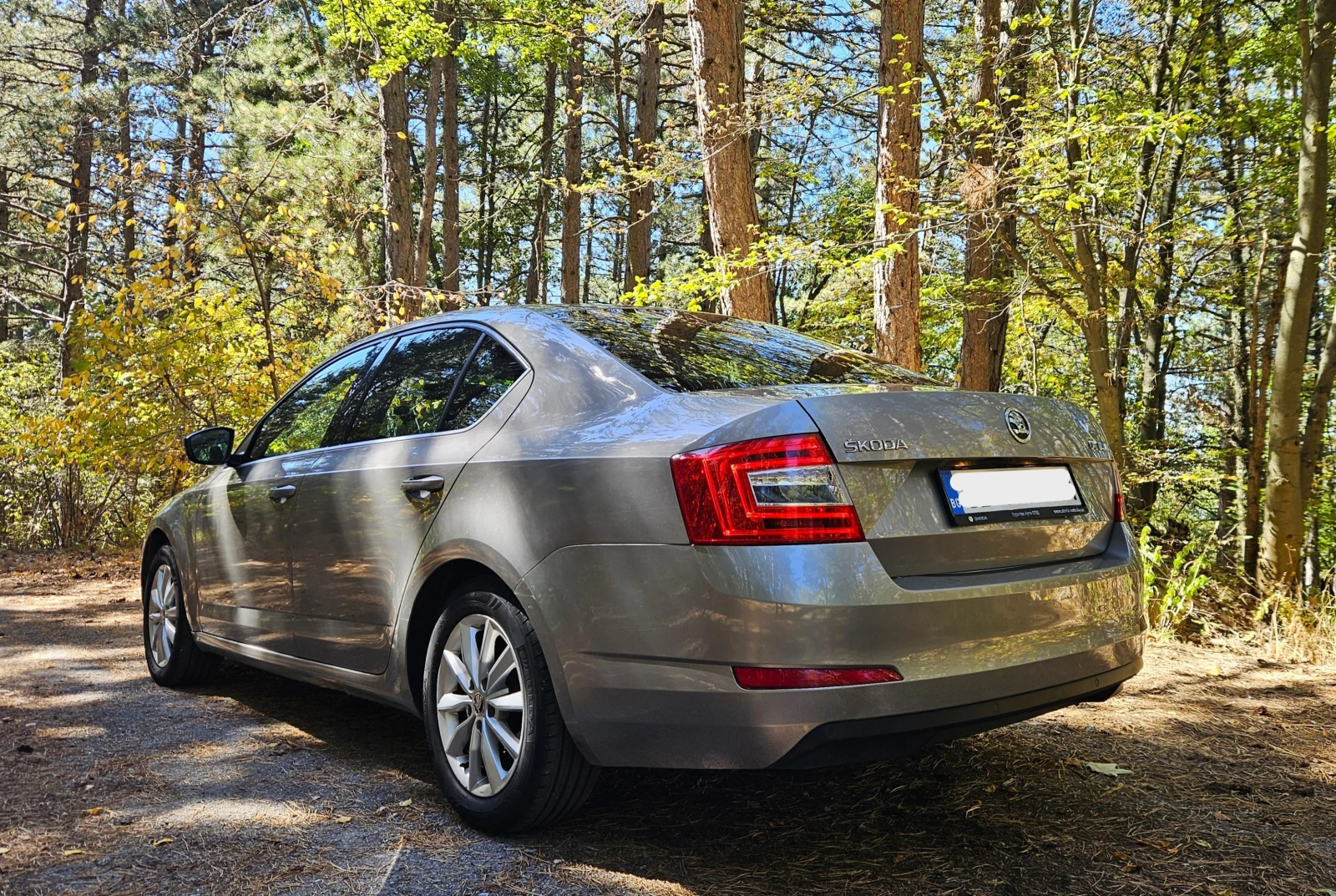 Skoda Octavia, снимка 3 - Автомобили и джипове - 56350936