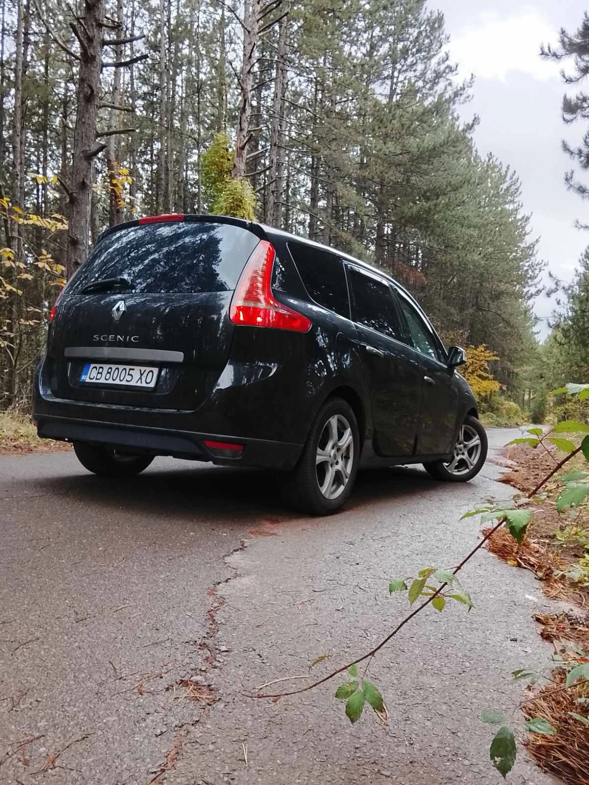 Renault Grand scenic 1.6, 16V, K4M, снимка 9 - Автомобили и джипове - 56726360