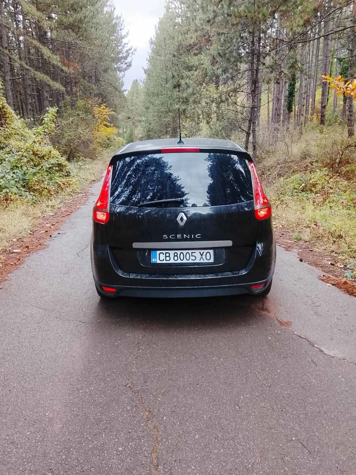 Renault Grand scenic 1.6, 16V, K4M, снимка 8 - Автомобили и джипове - 56726360