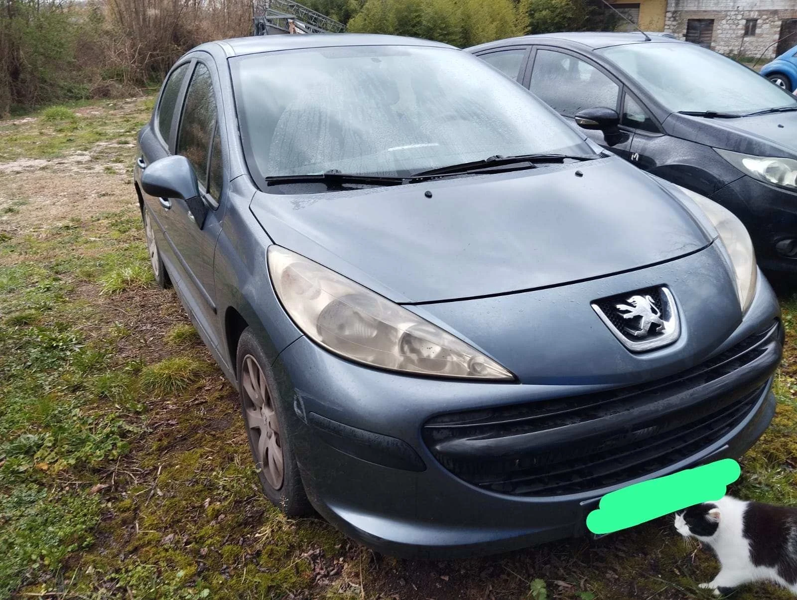 Peugeot 207 1.6hdi - [1] 