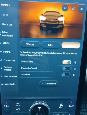 Ford Mustang Mach-E 76KW* RWD* 96.3%SOH* Bang & Olufsen* FordConnect - 23000 € / 44984.09 лв. - 66576388 10