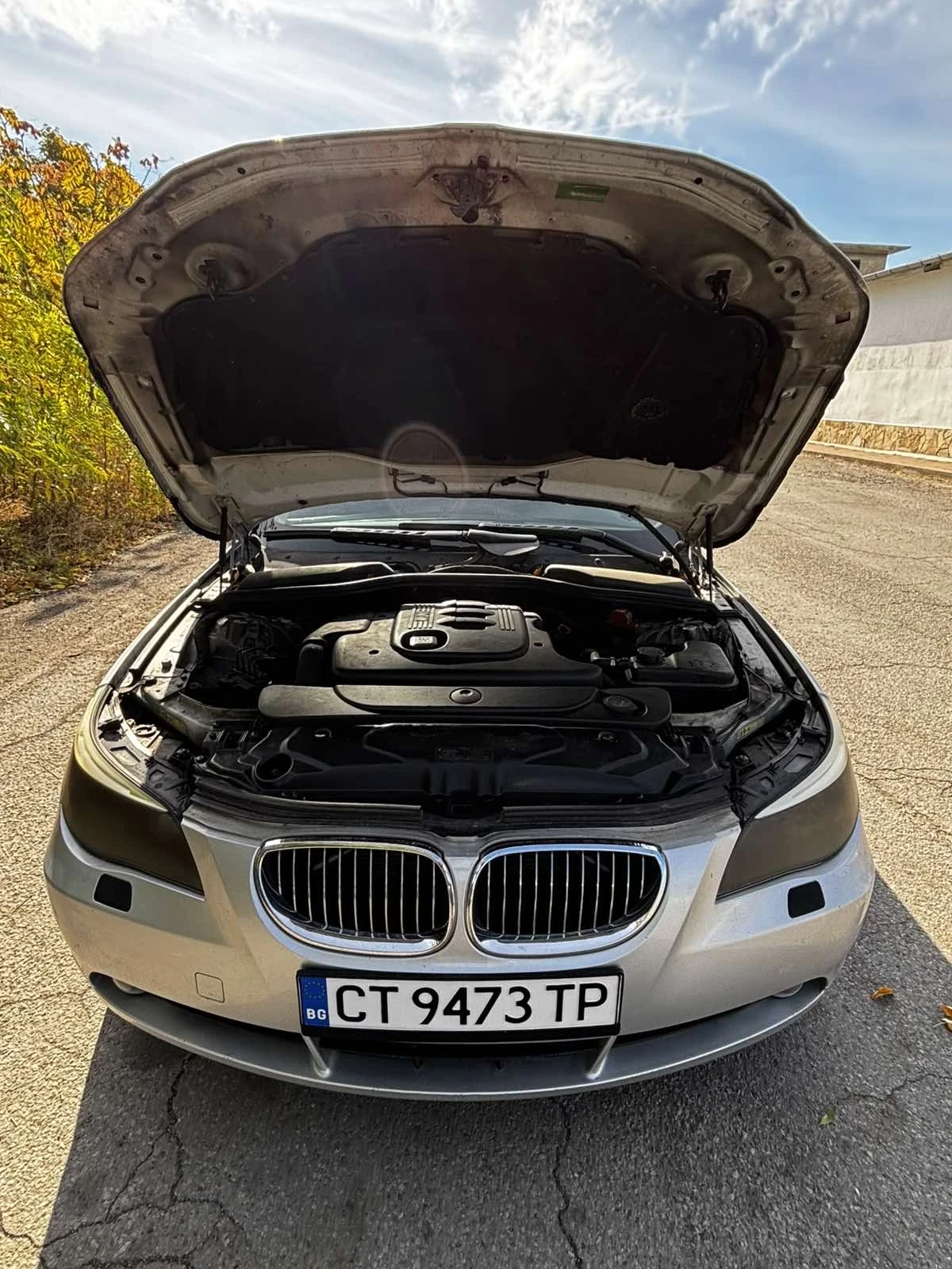 BMW 520 2.0d, снимка 8 - Автомобили и джипове - 56516294