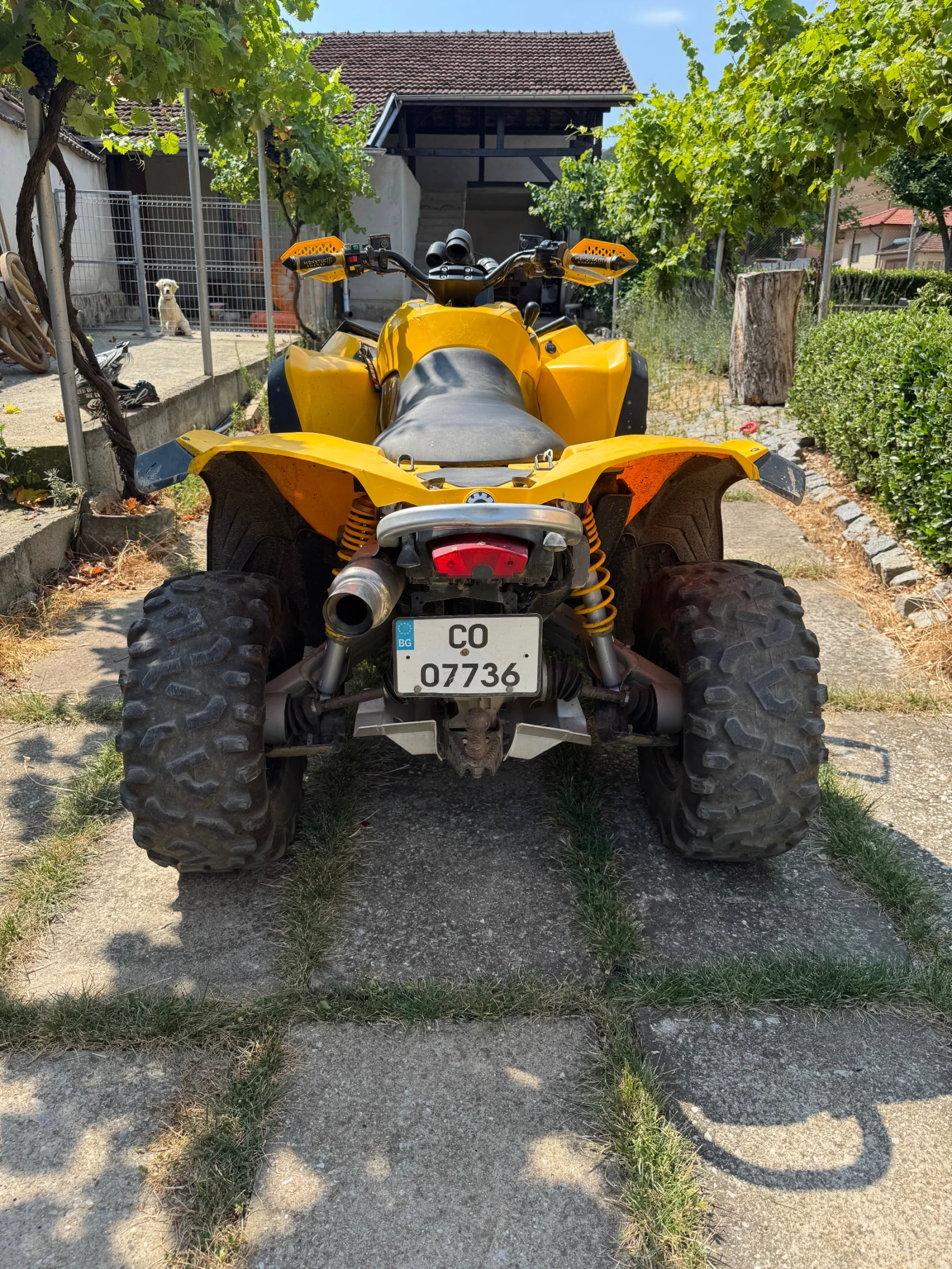 Can-Am Renеgade 800R, снимка 3 - Мотоциклети и мототехника - 55593954