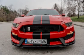 Ford Mustang 5.0 GT 350 pack Premium - [10] 