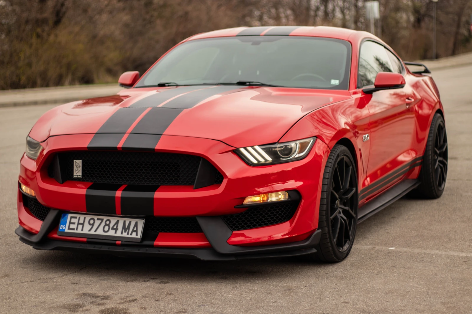 Ford Mustang 5.0 GT 350 pack Premium - изображение 2