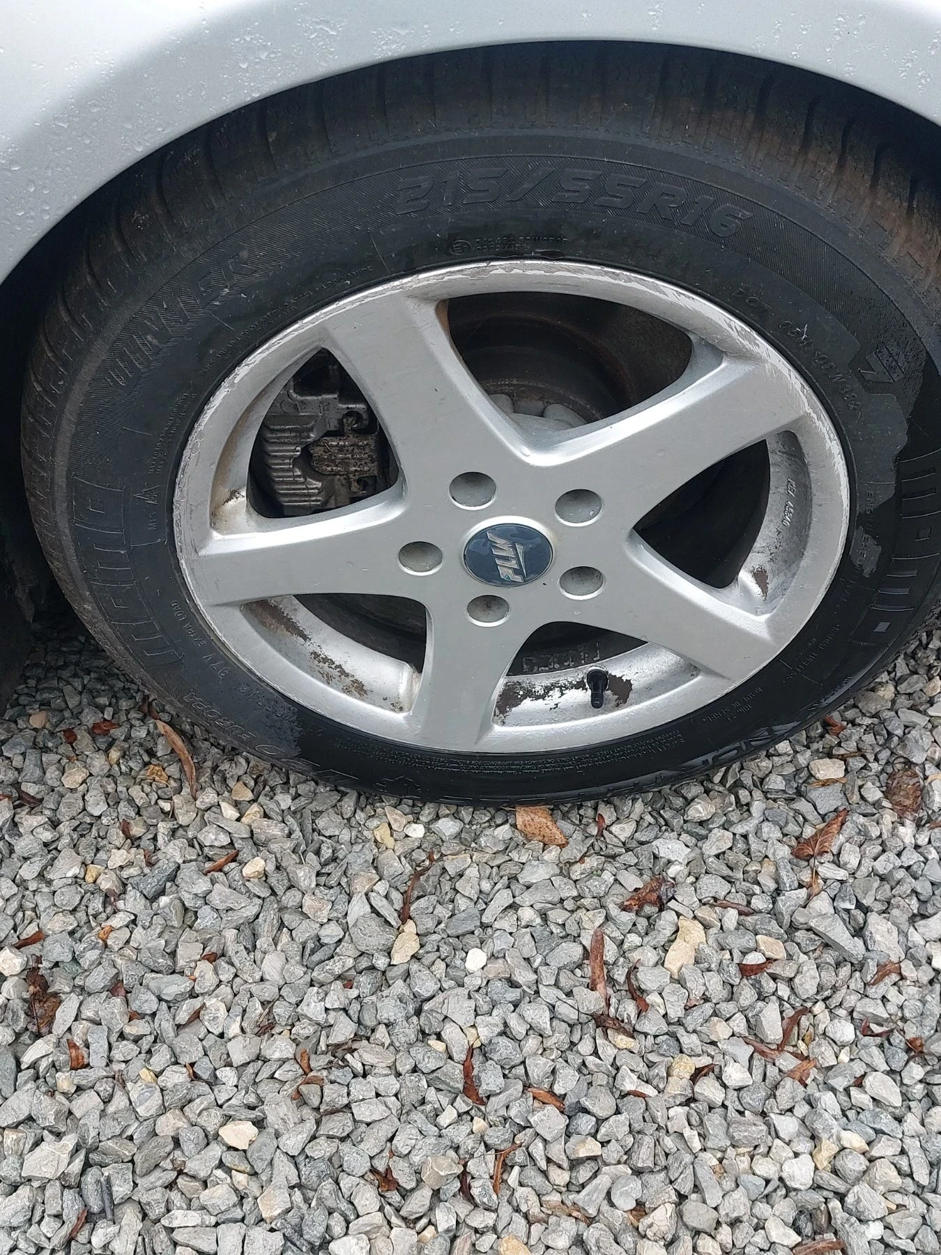 BMW 525 525d - изображение 7