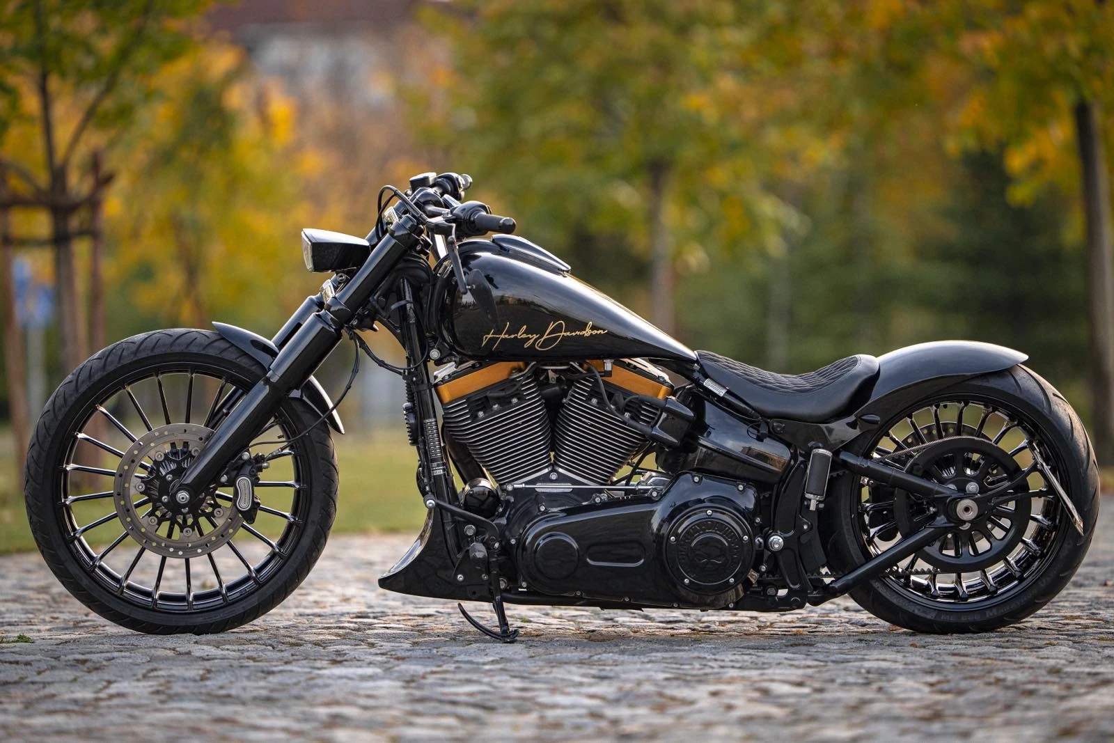 Harley-Davidson Softail FXSB Breakout custom | Mobile.bg   1